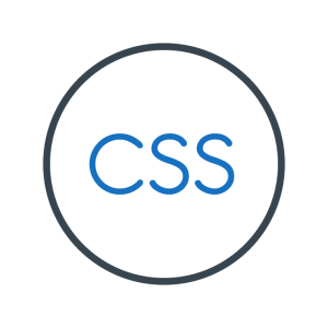 Custom CSS