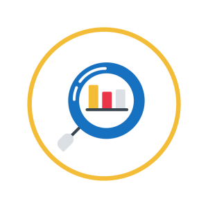 Custom Reports